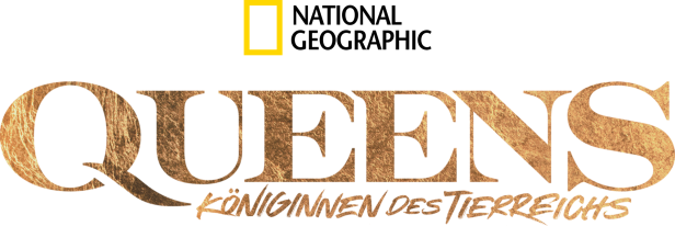 Das Logo der National Geographic Dokumentarreihe „Queens – Königinnen des Tierreichs“.