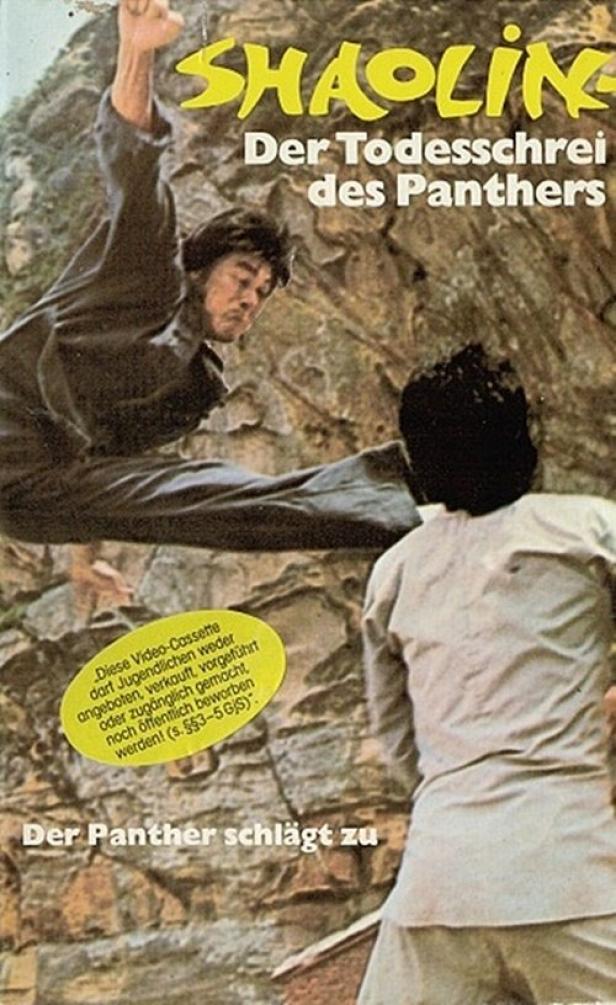Das Cover des Films „Shaolin: Der Todesschrei des Panthers“ zeigt einen Mann im Sprung.