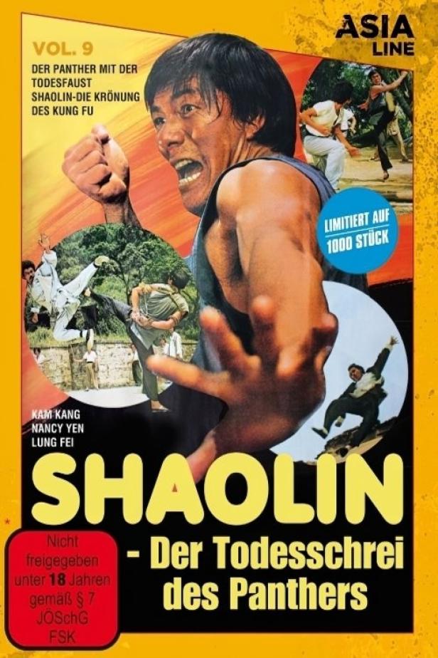 Das Cover des Films „Shaolin – Der Todesschrei des Panthers“ zeigt einen schreienden Mann und Kung-Fu-Kämpfer.