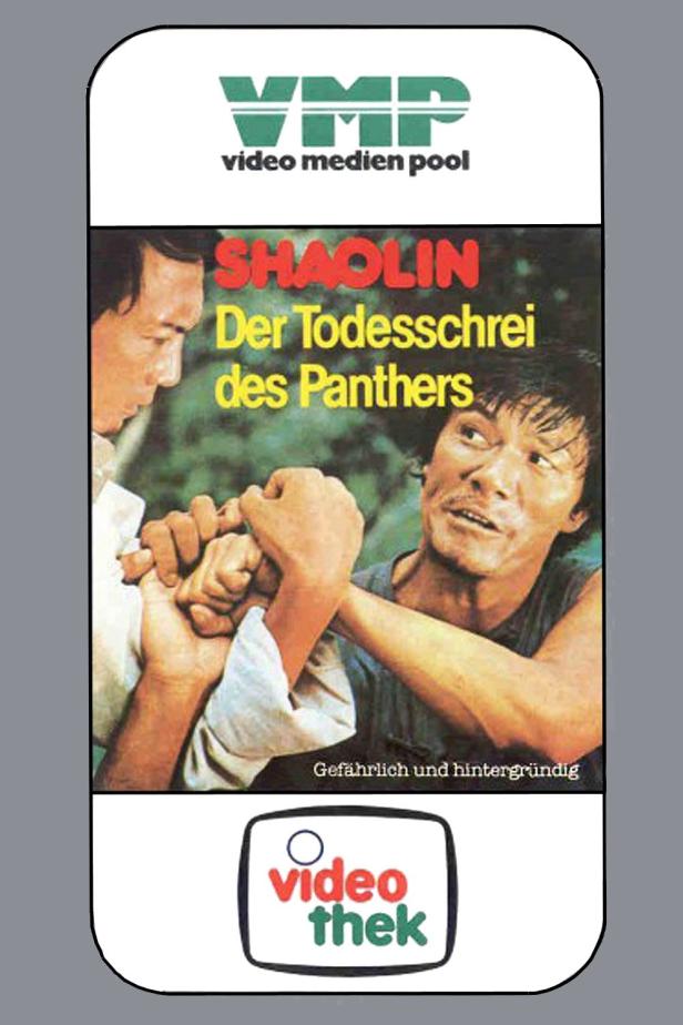 Das Cover des Films „Shaolin: Der Todesschrei des Panthers“ zeigt zwei Männer im Kampf.