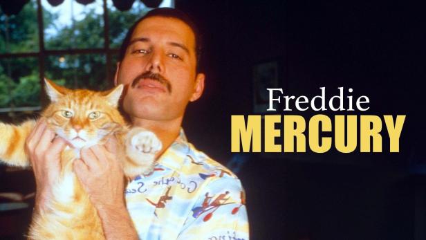 Freddie Mercury hält eine orangefarbene Katze im Arm.