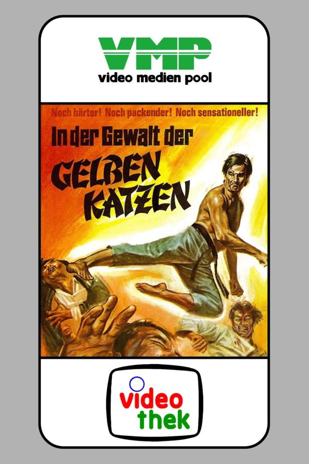 Das Cover des Films „In der Gewalt der gelben Katzen“ zeigt einen Mann im Kampf.