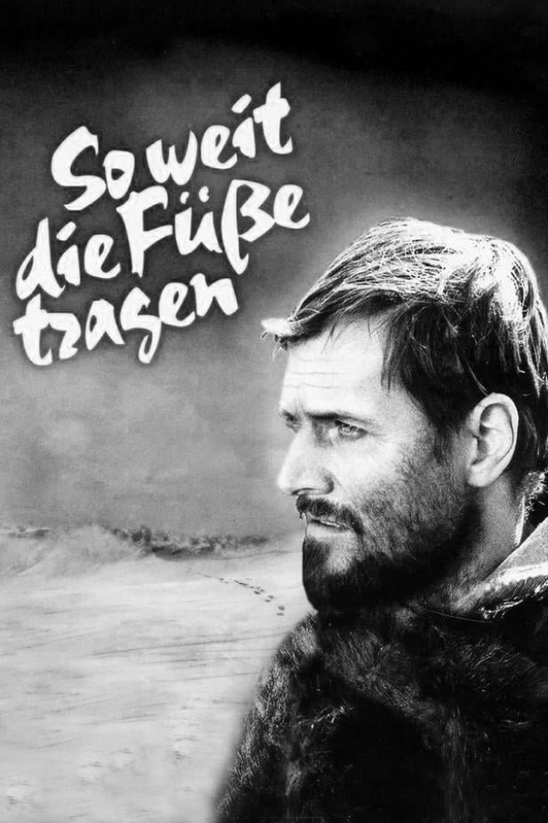 Das Filmplakat für „So weit die Füße tragen“ zeigt einen Mann in Winterkleidung vor einer Schneelandschaft.