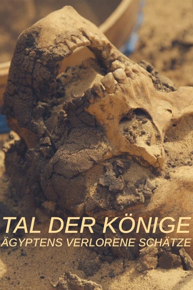 Der Schädel eines alten Ägypters, möglicherweise aus dem Tal der Könige.