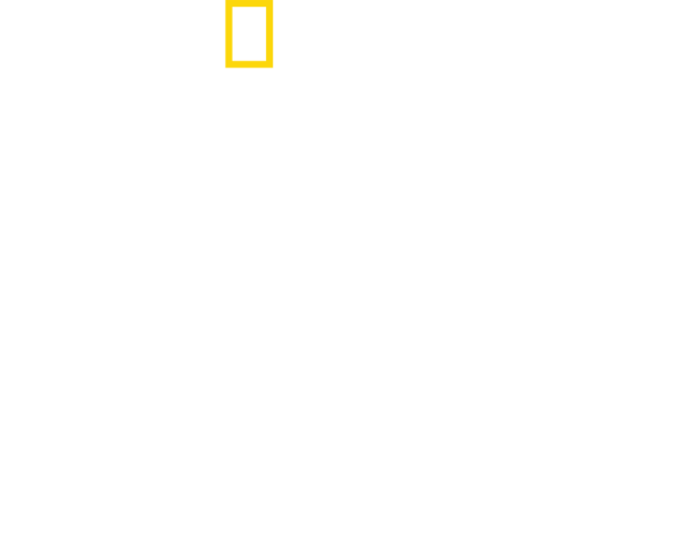 Das National Geographic Logo mit dem Titel „ROMS – Verlorene Schätze“.