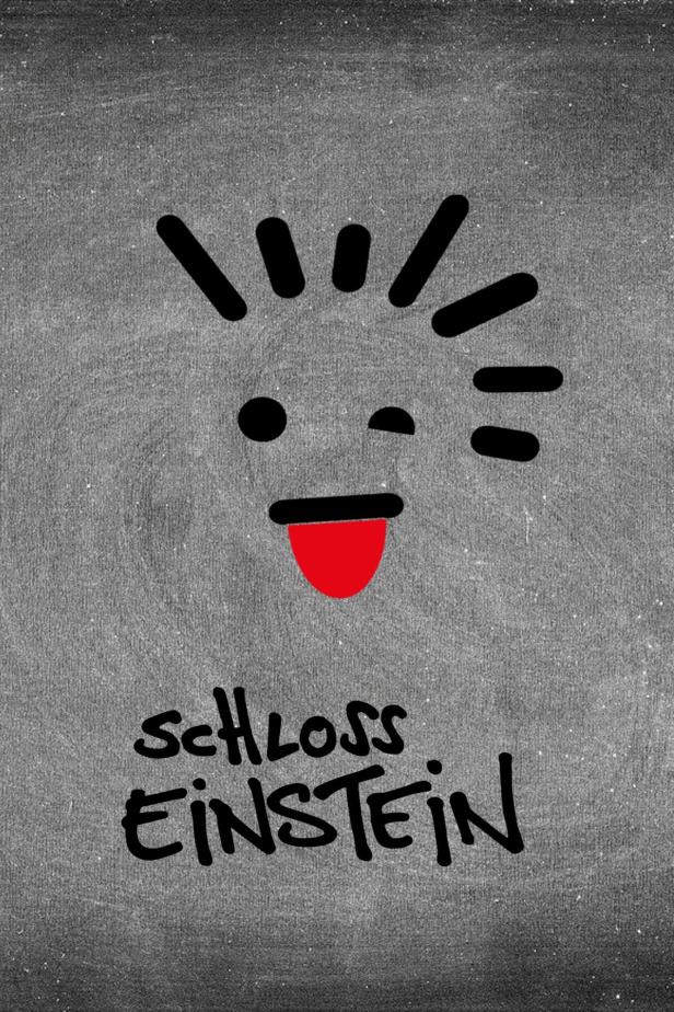 Eine stilisierte Zeichnung des Logos von „Schloss Einstein“ mit einem Gesicht.