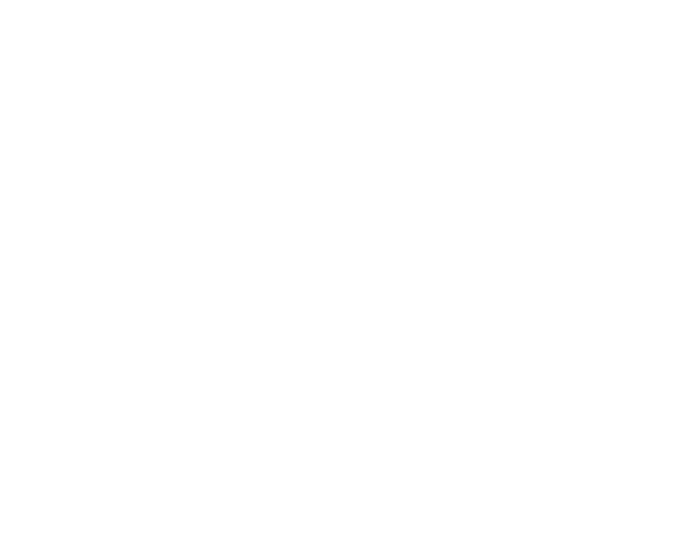 Das Logo für „Wolfboy und die Einfach-Alles-Fabrik“ in weißer Schrift auf schwarzem Grund.