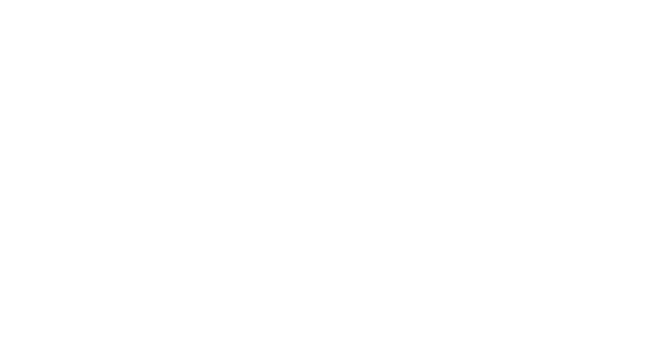 Ein Fahndungsplakat mit dem Namen Carlos Ghosn.