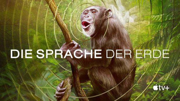 Ein Schimpanse klettert in einem Dschungel auf einen Ast, im Hintergrund ein Wasserfall.