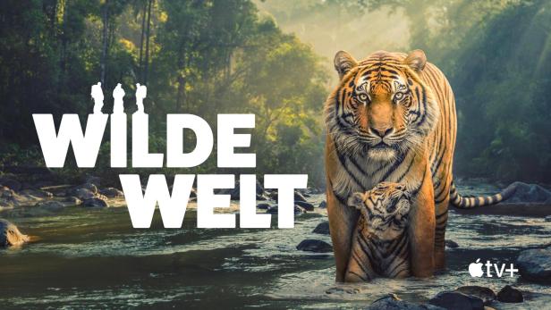 Eine Tigerin steht mit ihrem Jungen in einem Fluss; Titelbild für „Wilde Welt“ auf Apple TV+.