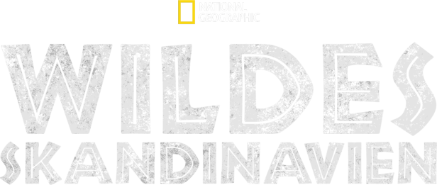 Logo der National Geographic-Dokumentation „Wildes Skandinavien“.