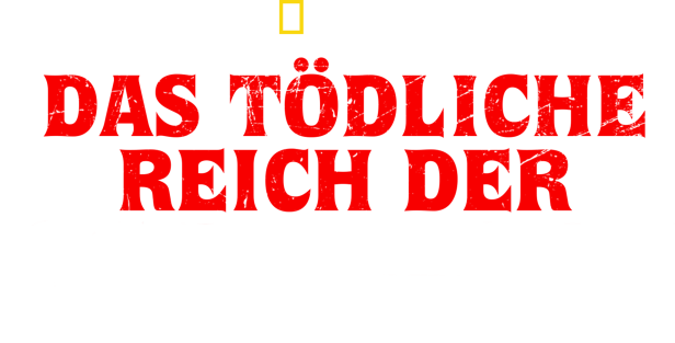 Das Logo von National Geographic prangt über dem Titel „Das tödliche Reich der Schlangen“.