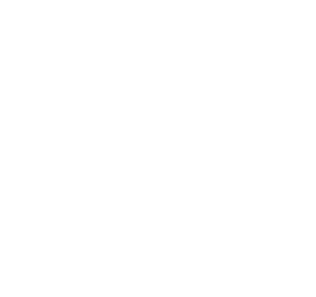 Das Bild ist komplett weiß.