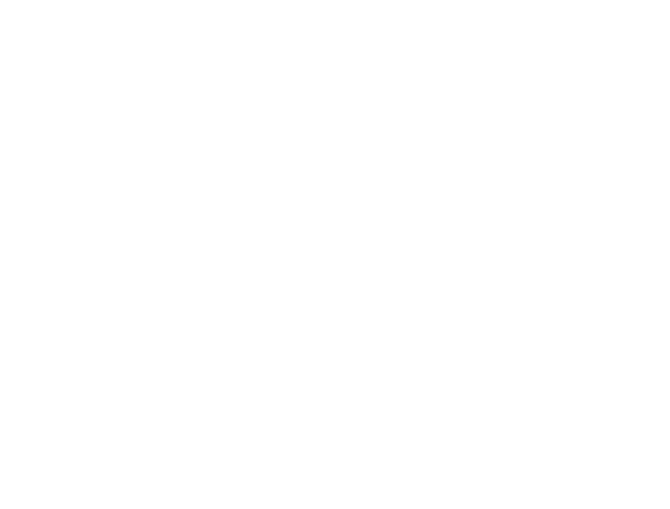 Das Bild ist komplett weiß.