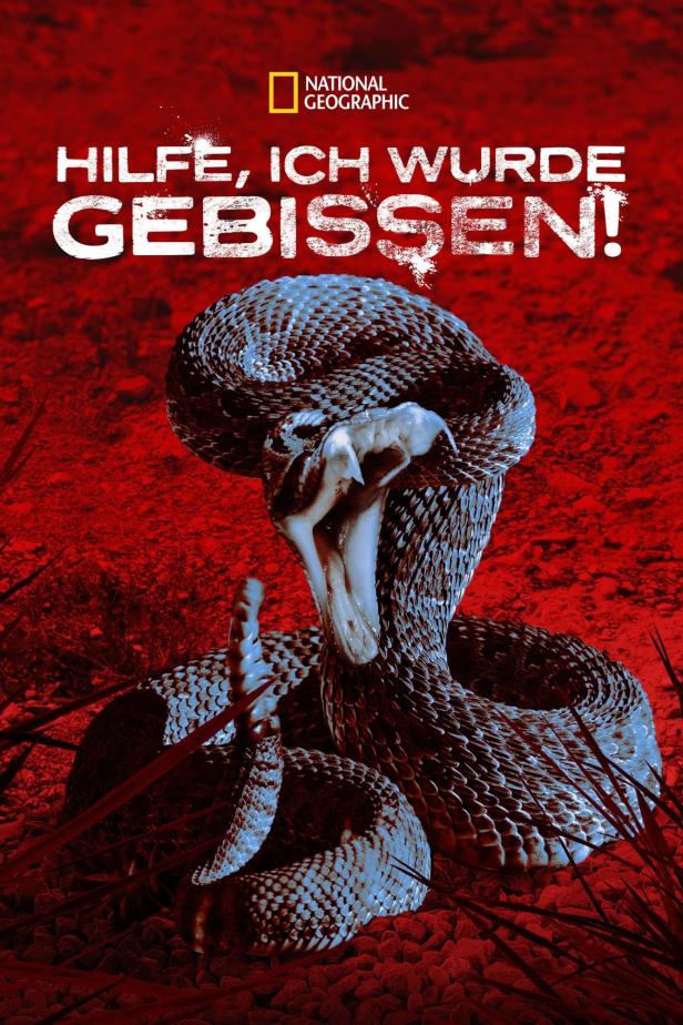 Das Cover der National Geographic-Dokumentation „Hilfe, ich wurde gebissen!“ mit einer Klapperschlange.
