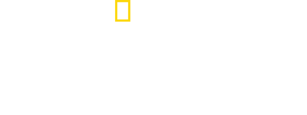 Das National Geographic Logo über dem Schriftzug „Hilfe, ich wurde gebissen!“.
