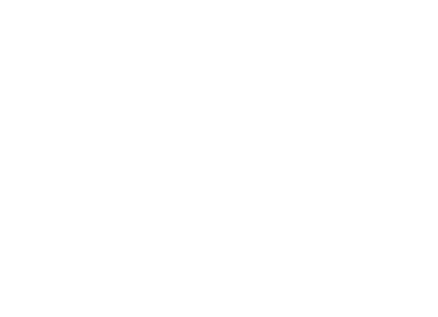 Das Bild ist komplett weiß.