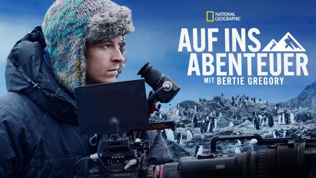 Bertie Gregory filmt eine Kolonie Pinguine für „Auf ins Abenteuer“ von National Geographic.