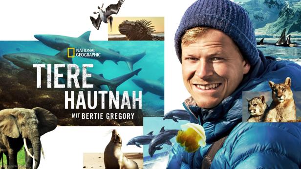 Ein Mann umgeben von verschiedenen Tieren und Landschaften für „Tiere hautnah mit Bertie Gregory“.