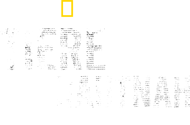 Das National Geographic Logo und der Titel „Tiere Hautnah mit Bertie Gregory“.