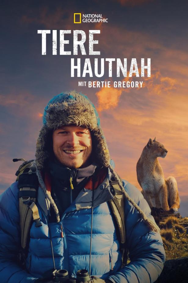 Ein lächelnder Bertie Gregory mit einem Puma im Hintergrund für „Tiere hautnah“.