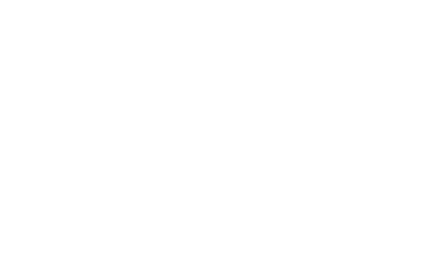 Das Logo von National Geographic „Das grosse Krabbeln“ mit Käfern und Schnecken.