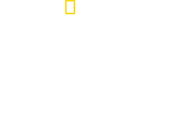 Das National Geographic Logo mit dem Titel „Schlagzeilen gegen Hitler“.