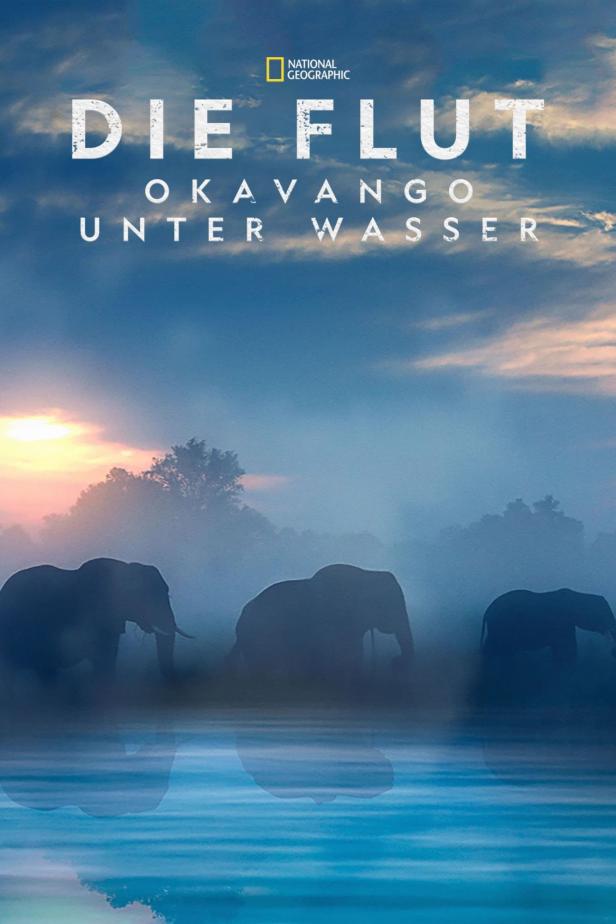 Das Cover der National Geographic Dokumentation „Die Flut – Okavango unter Wasser“ mit Elefanten.