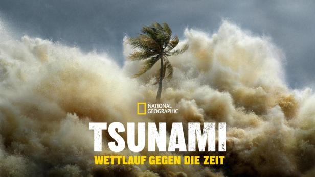 Eine riesige Welle umspült eine einzelne Palme; Titelbild von National Geographic „Tsunami – Wettlauf gegen die Zeit“.