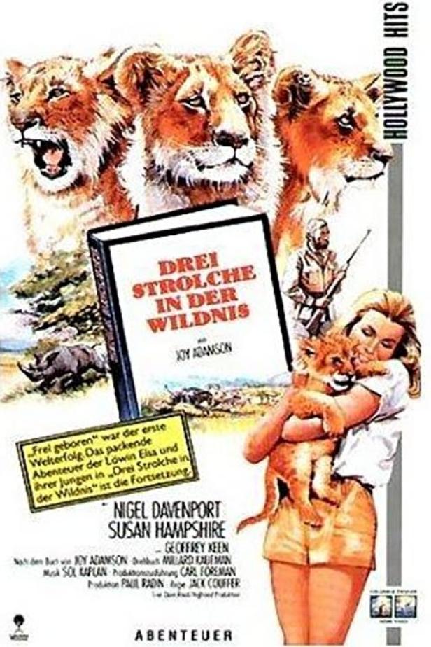 Das Filmplakat zu „Drei Strolche in der Wildnis“ zeigt Löwen, eine Frau mit einem Löwenjungen und einen Mann mit einem Gewehr.