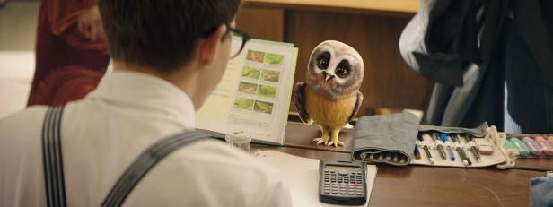 Eule Muriel beobachtet Max bei seiner Computerarbeit