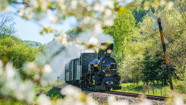 Eine Dampflok der Mariazellerbahn fährt durch die Landschaft