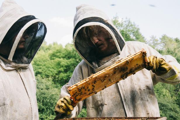 Zwei Imker in Schutzanzügen betrachten Wabe voller Bienen