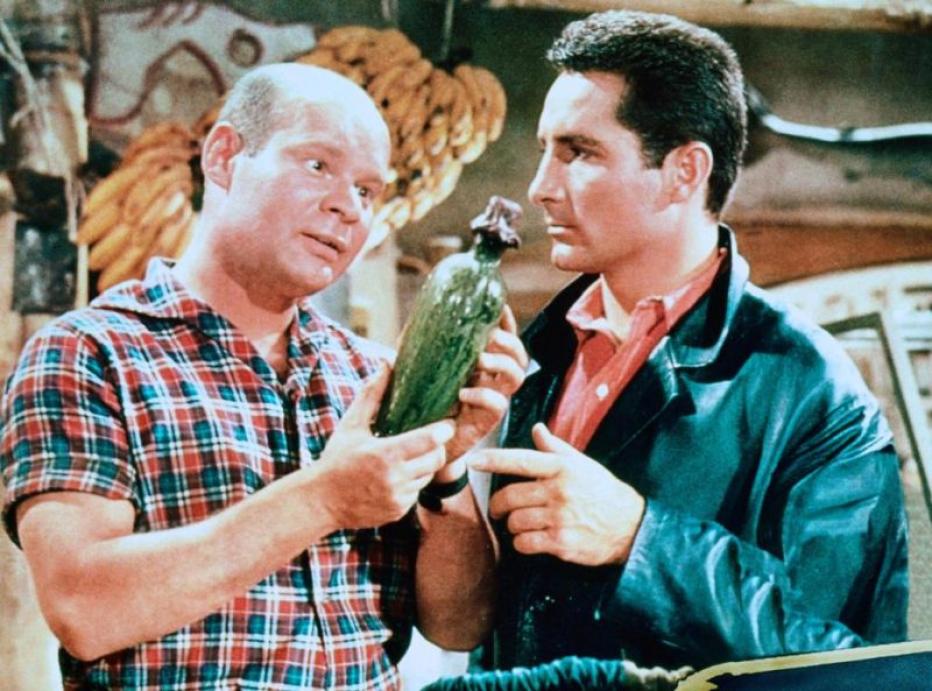 Freddy und das Lied der Südsee