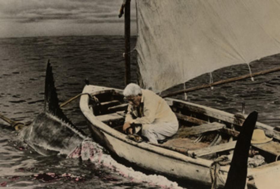Der Alte Mann Und Das Meer Letzter Satz