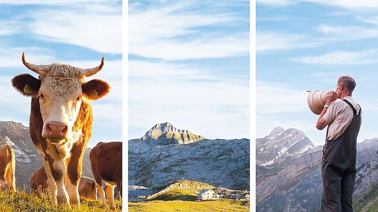 Alpzyt Keine Ferien Aber Schoner Film At Trauffer, альбом schnupf, schnaps + edelwyss. alpzyt keine ferien aber schoner