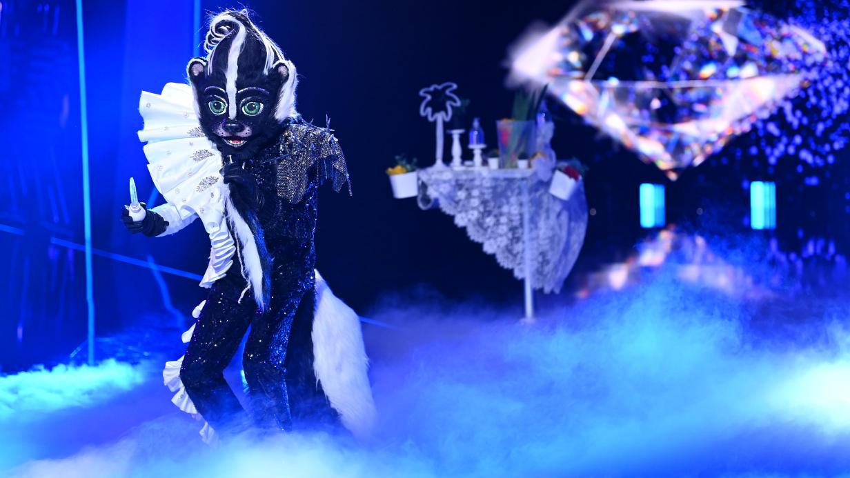 Wer War Die Raupe Bei The Masked Singer