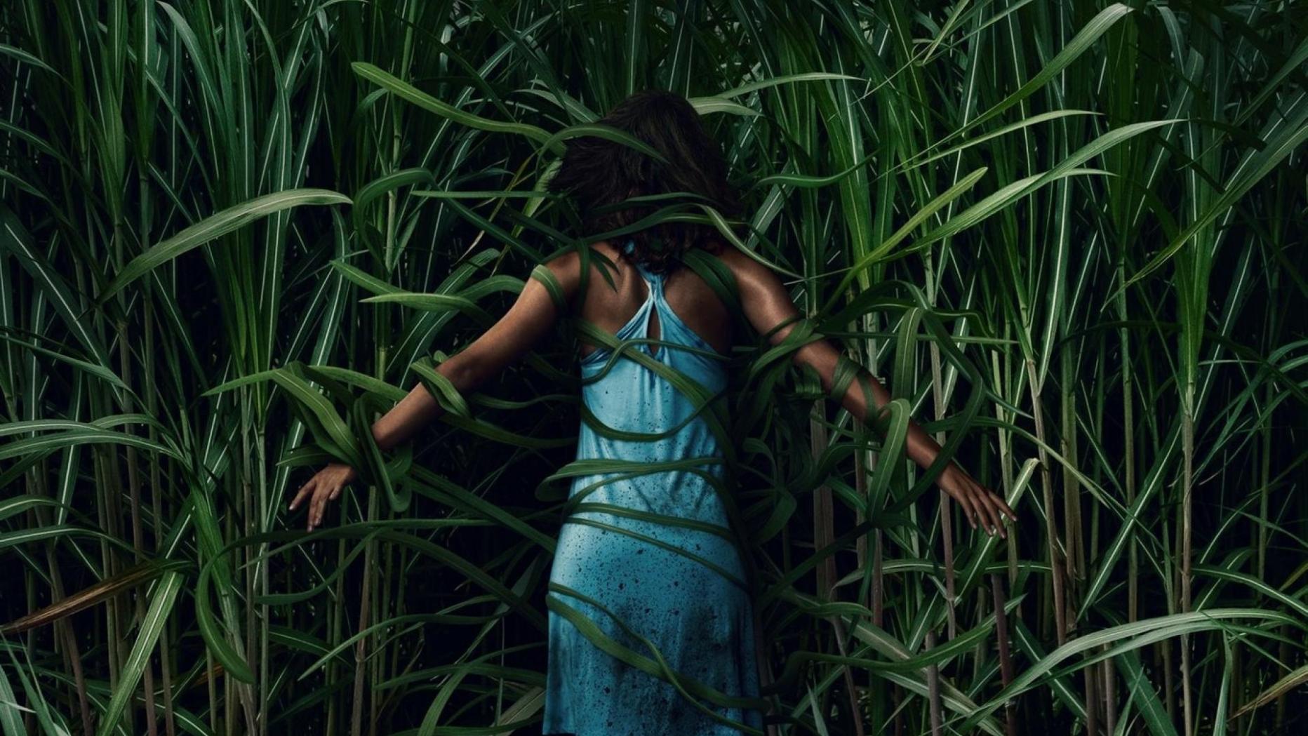 "Im hohen Gras" Trailer zum HorrorThriller von Stephen King & Joe Hill