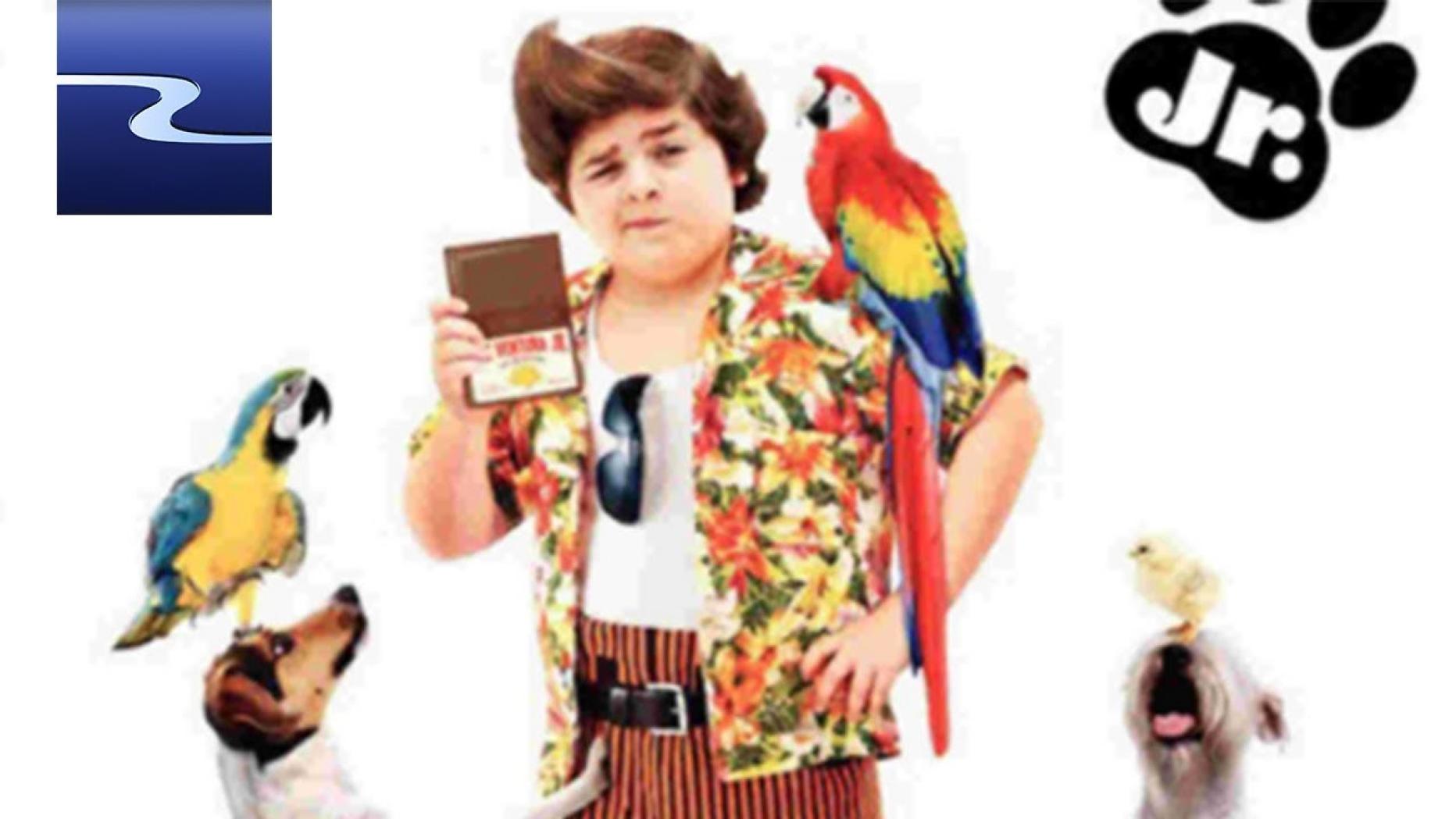 Ace Ventura 3 Der TierDetektiv film.at