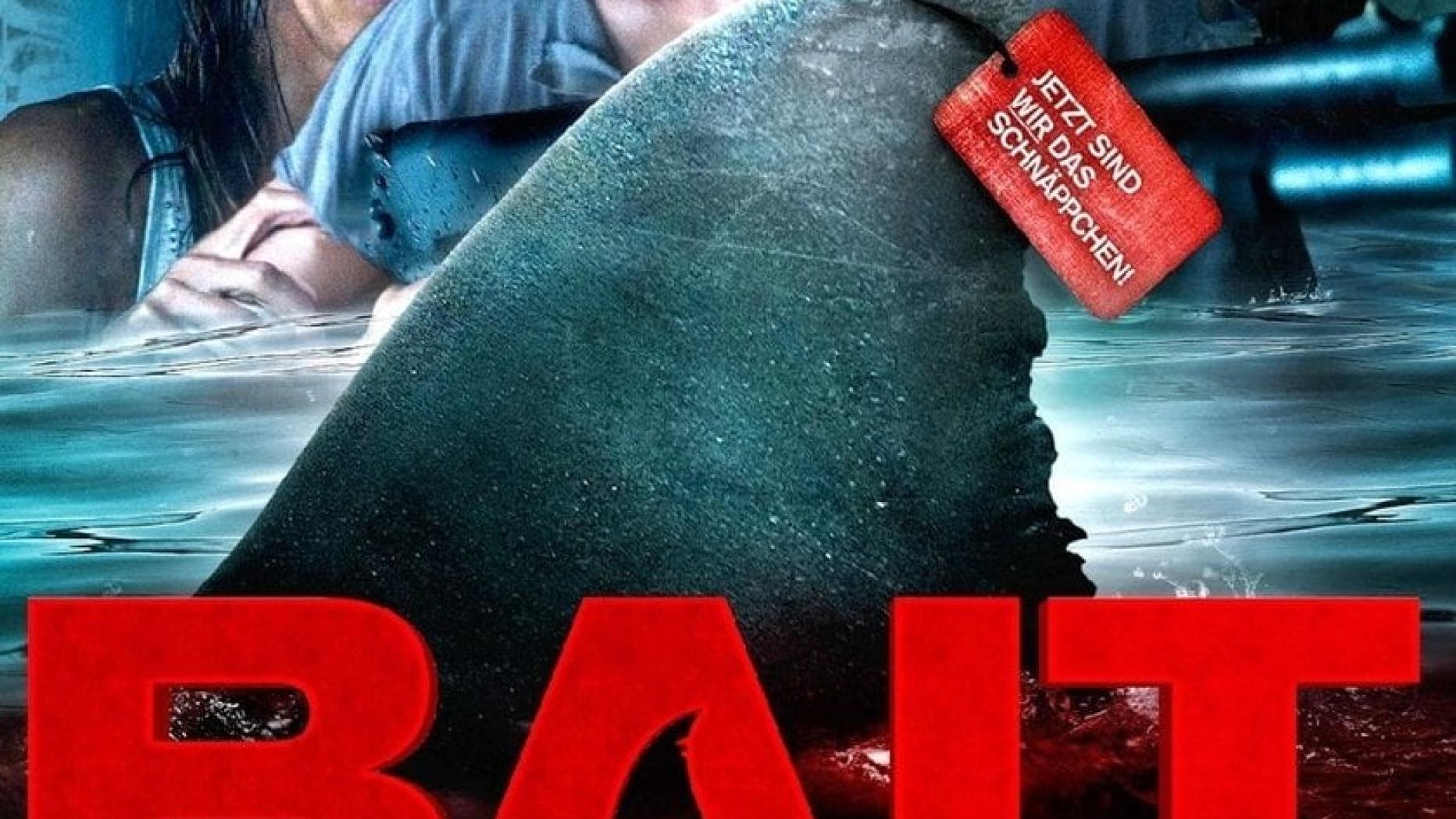 Simon Edds Bait - Haie im Supermarkt
