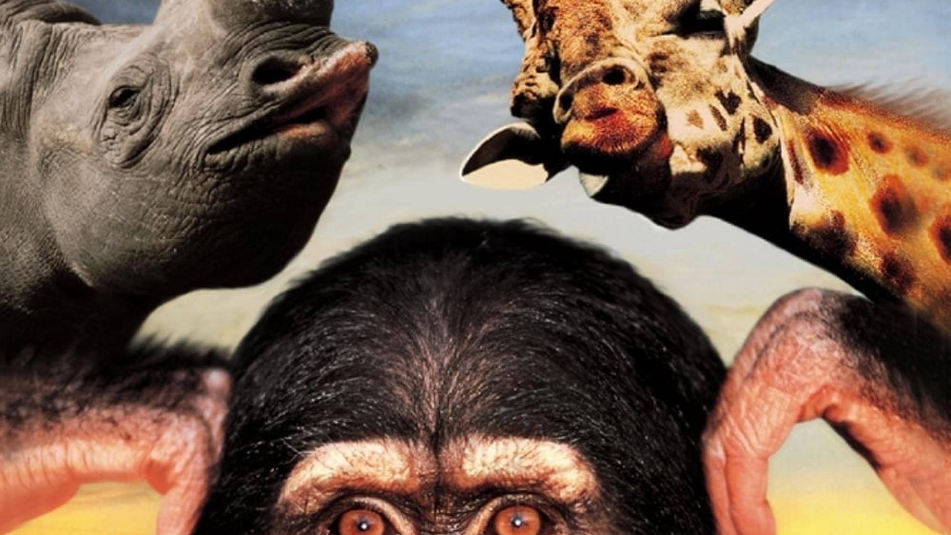 Lustige Welt Der Tiere Ganzer Film Deutsch www.film.at