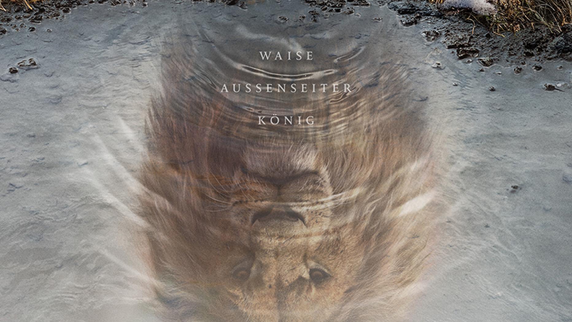 Mufasa Der König der Löwen
