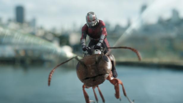 ant-man-wasp-3.jpg