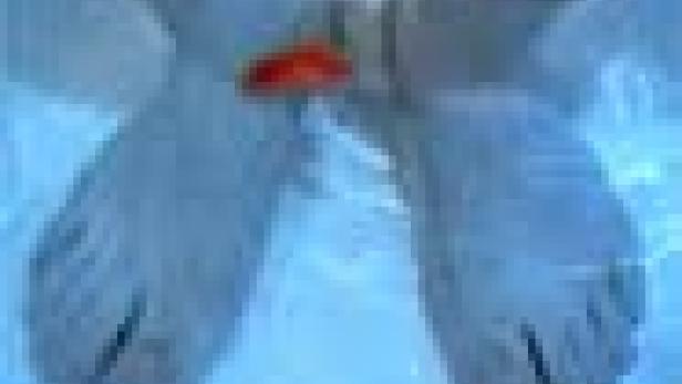 Die Füße einer Person ragen ins blaue Wasser.