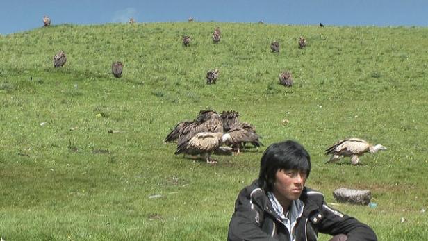 Le Rappel des oiseaux