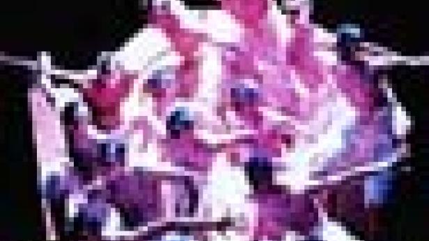 Eine Gruppe von Tänzern in rosa Kostümen führt eine synchrone Choreografie auf.