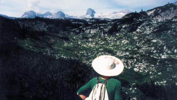 Am Stein - Dachstein