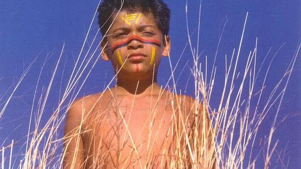 José - Retter des Regenwaldes