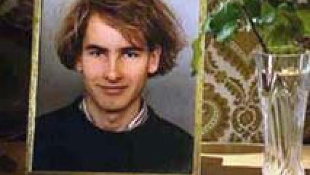 Ein Porträt eines jungen Mannes mit braunen Haaren in einem goldenen Rahmen.