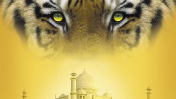 Indien - Kingdom of the Tiger